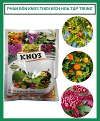 Phân bón KNO3 THIDI Kích thích ra hoa tập trung – Tăng năng suất – Chất lượng nông sản