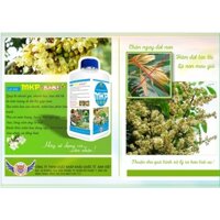 PHÂN BÓN LÁ CAO CẤP  MKP 0-52-34 - SIÊU BẬT MẦM HOA, RA HOA NHIỀU ĐỒNG LOẠT,KÍCH THÍCH RA HOA NGHỊCH VỤ, GIÀ LÁ CHẶN ĐỌT