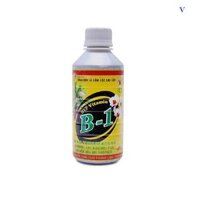 Phân Bón Lá Đậm Đặc Cao Cấp HVP Vitamin B1