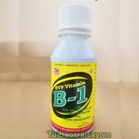 Phân bón lá đậm đặc HVP Vitamin B1 / lọ 100ml - T30