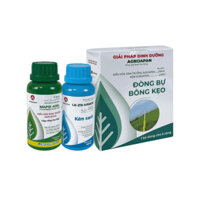 [Phân bón lá] Đòng bự bông kẹo