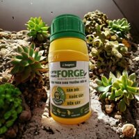 PHÂN BÓN LÁ HỮU CƠ CÓ CHẤT ĐIỀU HOÀ SINH TRƯỞNG HỢP TRÍ ORGANO FORGE CHAI 250ML