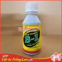 Phân bón lá kích nảy chồi cho Lan HVP Vitamin B-1 lọ 100ml
