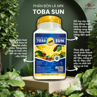 Phân bón lá NPK TOBA SUN (hộp 500g) SIÊU LÂN - Phân hoá mầm hoa, Ra hoa, Trổ hoa đồng loạt