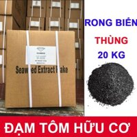 phân bón lá rong biển - THÙNG 20 KG
