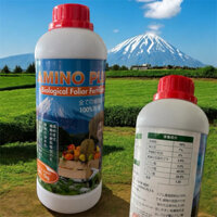 Phân Bón Lá Sinh Học MT Crown Amino - AMINO PLUS