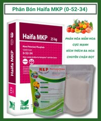Phân Bón MKP (0-52-34) – Israel (Gói 500gr) kích mầm, kích hoa, dưỡng trái