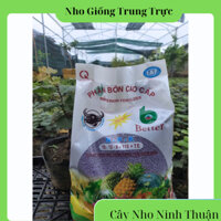 Phân Bón NPK Đầu Trâu 5kg Giúp Cây Trồng Phát Triển Sinh Trưởng Mạnh