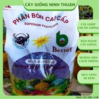 Phân bón NPK đầu trâu 16-12-8+11s+TE tím cao cấp 5kg PB15