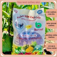 Phân Bón NPK Tím Đầu Trâu 16-12-8+11s+TE  1 bịch 5kg