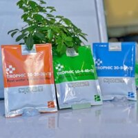 Phân bón NPK TROPHIC, Phân bón tổng hợp của Bỉ Đạm Lân Kali, Phân bón hoa hồng