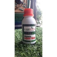 Phân bón rong biển Organic Liquid Kelp - chai chiết 100ml (hàng nhập Mỹ)