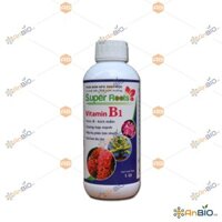 PHÂN BÓN SINH HỌC SUPER ROOTS VITAMIN B1 Chai 1L CÓ CHẤT ĐIỀU HÒA SINH TRƯỞNG - KÍCH RỄ KÍCH MẦM - C1.1008