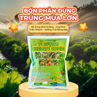 Phân Bón Vi Lượng Chelate Combi - Xanh Lá, Tốt Cây, Trái Đẹp - Eco Farm
