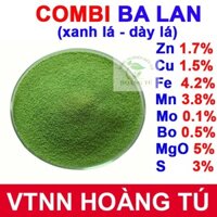 Phân bón vi lượng COMBI BA LAN DẠNG CỐM  giúp xanh lá, dày lá, bóng lá nhập khẩu Châu Âu (Ba Lan) gói 1 KG