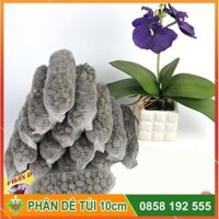 Phân dê bón lan combo 100 túi 10cm tặng 20 túi