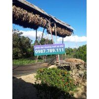 PHÂN DƠI NGUYÊN CHẤT - 10KG