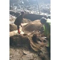 Phân dơi nguyên chất 5kg