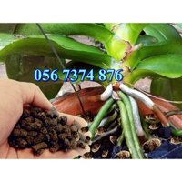 PHÂN DƠI NGUYÊN CHẤT GÓI 5KG