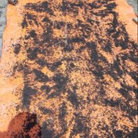 Phân dơi tự nhiên Phân dơi tự nhiên bón cây trồng cây kiểng, thức ăn cho cá,,..