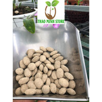 PHÂN HẠT BÀNG - PHÂN BÓN TAN CHẬM CAO CẤP NHẬT - NA 12-6-6 dùng trên lan, bonsai, cây cảnh, cây ăn trái