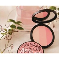 Phấn Má Hồng Too Cool For School Artclass By Rodin Blusher