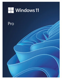Phần mềm bản quyền Windows 11 Pro FPP 64-bit Eng Intl USB HAV-00163 - Hàng Chính Hãng