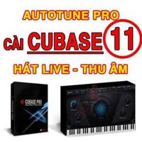 Phần Mềm Cubase 11 Và Auto Tune Pro Thu Âm Livestream