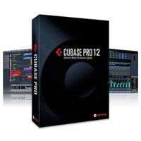 Phần Mềm Cubase 12Pro Và Auto Tune Pro, Thu Âm, Hát Livestream