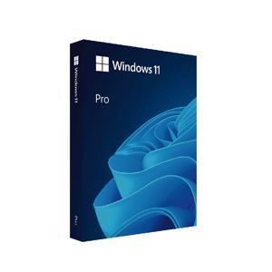 Phần mềm HĐH Microsoft Pro 10 64Bit Eng Intl 1pk DSP OEI DVD