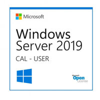 Phần Mềm Microsoft SQL CAL 2019 SNGL OLP NL UsrCAL (359-06866)