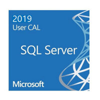Phần mềm Microsoft SQL Server 2019 – 1 User CAL