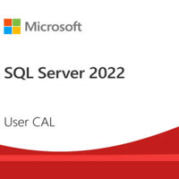 Phần mềm Microsoft SQL Server 2022 – 1 User CAL
