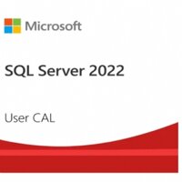 Phần mềm Microsoft SQL Server 2022 - 1 User CAL