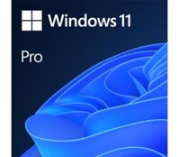 Phần mềm Microsoft Win Pro 11 64Bit Eng Intl 1pk DSP OEI DVD FQC-10528