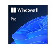 Phần mềm Microsoft Win Pro 11 64bit All Lng PK Lic Online DwnLd NR FQC-10572