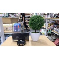 Phấn nén 2 màu chống thấm nước- Ilahui