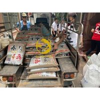 Phân nền chuyên thủy sinh – tép cảnh AKADAMA 14l size S