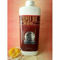 Phấn rôm Ngựa Thái Lan thanh lý