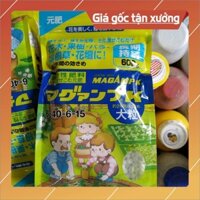 Phân tan chậm Nhật trắng Magamp K 6-40-6-15 gói 600g