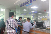 Phân Tích Kết Quả Trúng Thầu Vị Thuốc Y Học Cổ Truyền và Tác Động