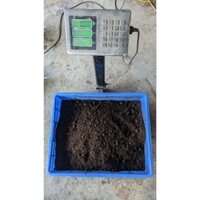 PHÂN TRÙN QUẾ - 10KG