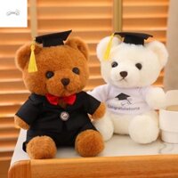 Phần YPALACE Doctor Cap Búp bê gấu tốt nghiệp, Đồ chơi nhồi bông có mũ tiến sĩ Đồ chơi sang trọng gấu độc thân, Búp bê mềm hoạt hình Gấu ngồi 23cm Đồ chơi sang trọng ủng hộ bữa tiệc