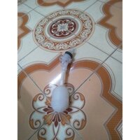 Phao cơ máy làm mát