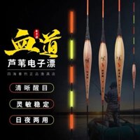 Phao Điện Săn Hàng Màu Gỗ Barfilon Balsa Phao Săn Hàng Ngày Đêm Câu Cá Lớn