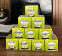 Pháo hoa giàn phun nhấp nháy Xanh lá 2026 ( T24 )