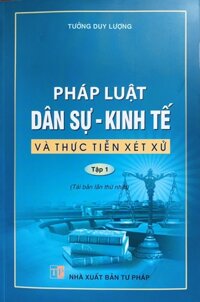 Pháp Luật Dân Sự kinh Tế Và Thực Tiễn Xét Xử  Tập 1