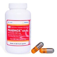 Pharmox 500 mg(Amoxicillin) – Điều trị ký sinh trùng, chống nhiễm khuẩn (Chai 200 viên)