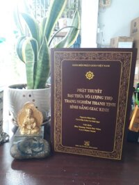 PHẬT THUYẾT ĐẠI THỪA VÔ LƯỢNG THỌ TRANG NGHIÊM THANH TỊNH BÌNH ĐẲNG GIÁC KINH BÌA DA