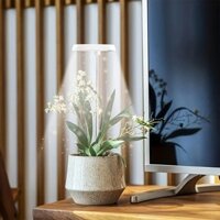 Phát Triển Ánh Sáng Full Spectrum Đèn LED Phát Triển Trong Nhà Chiều Cao Góc Có Thể Điều Chỉnh Vòng Phát Triển Ánh Sáng Hẹn Giờ Chiều Cao Có Thể Điều Chỉnh USB Powered